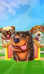 The Dog House
